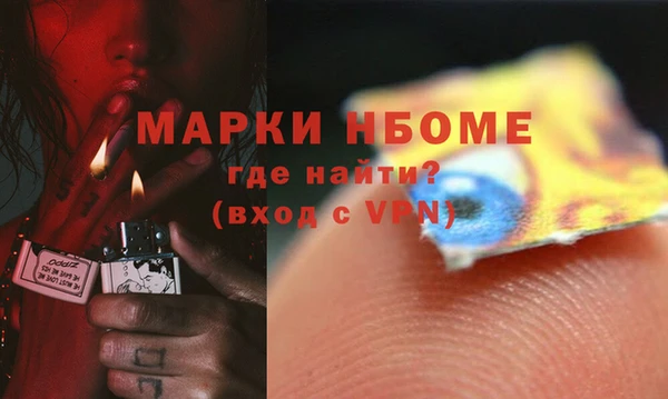 прущие грибы Богданович