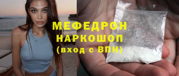 прущие грибы Богданович