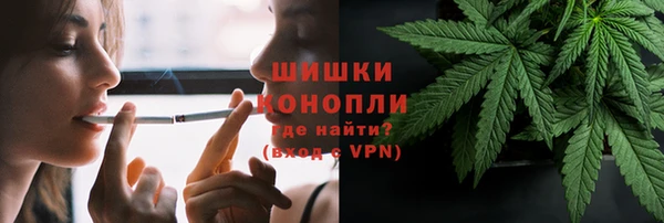 прущие грибы Богданович