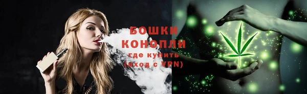 МДПВ Богородицк