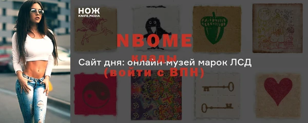 прущие грибы Богданович