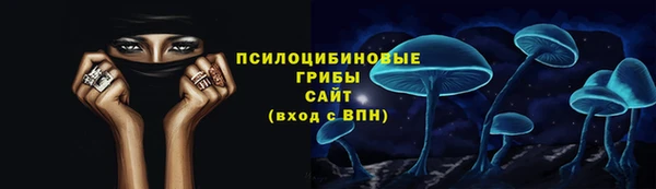 прущие грибы Богданович