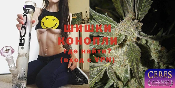 прущие грибы Богданович