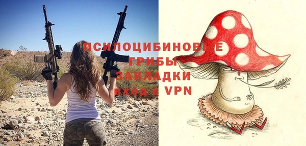 сатива Белоозёрский
