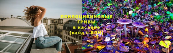 МДПВ Богородицк