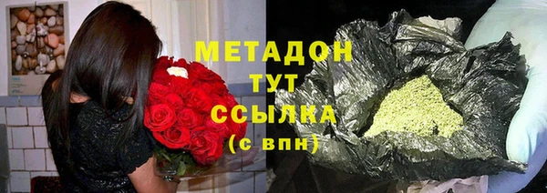 прущие грибы Богданович