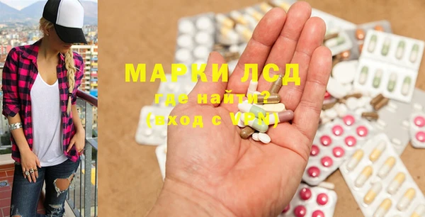 прущие грибы Богданович