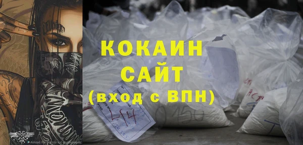 прущие грибы Богданович