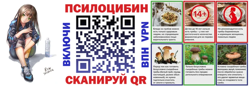 Галлюциногенные грибы мухоморы  купить  сайты  Касли 